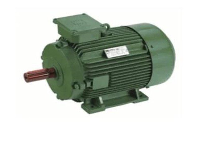 Industrial Motor 2HP